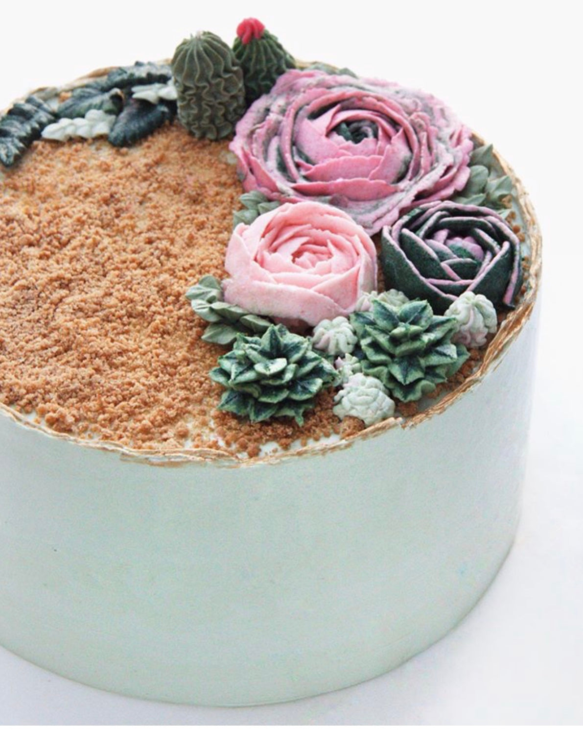 Succulent Cake