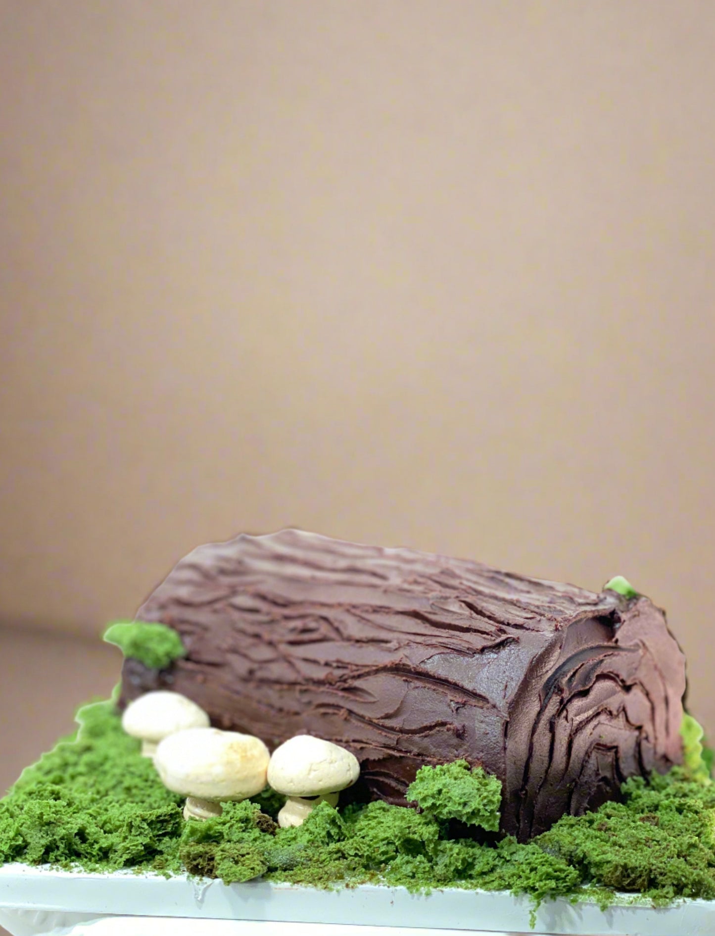 Bûche De Noël - Yule Log